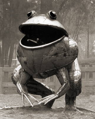 Sammakko